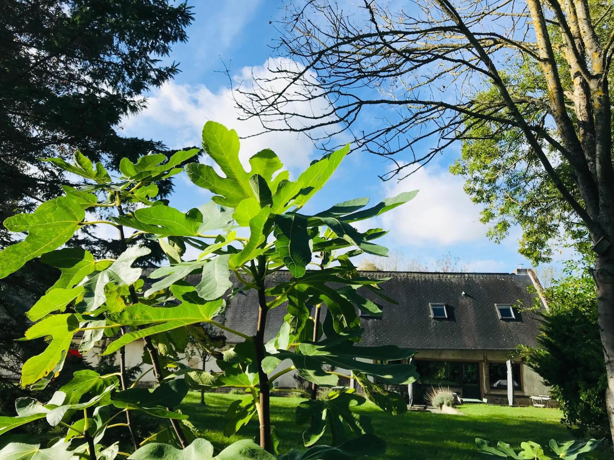 Gueutteville-les-Gres Rouge Cottage Gite 4 Etoiles Billard מראה חיצוני תמונה
