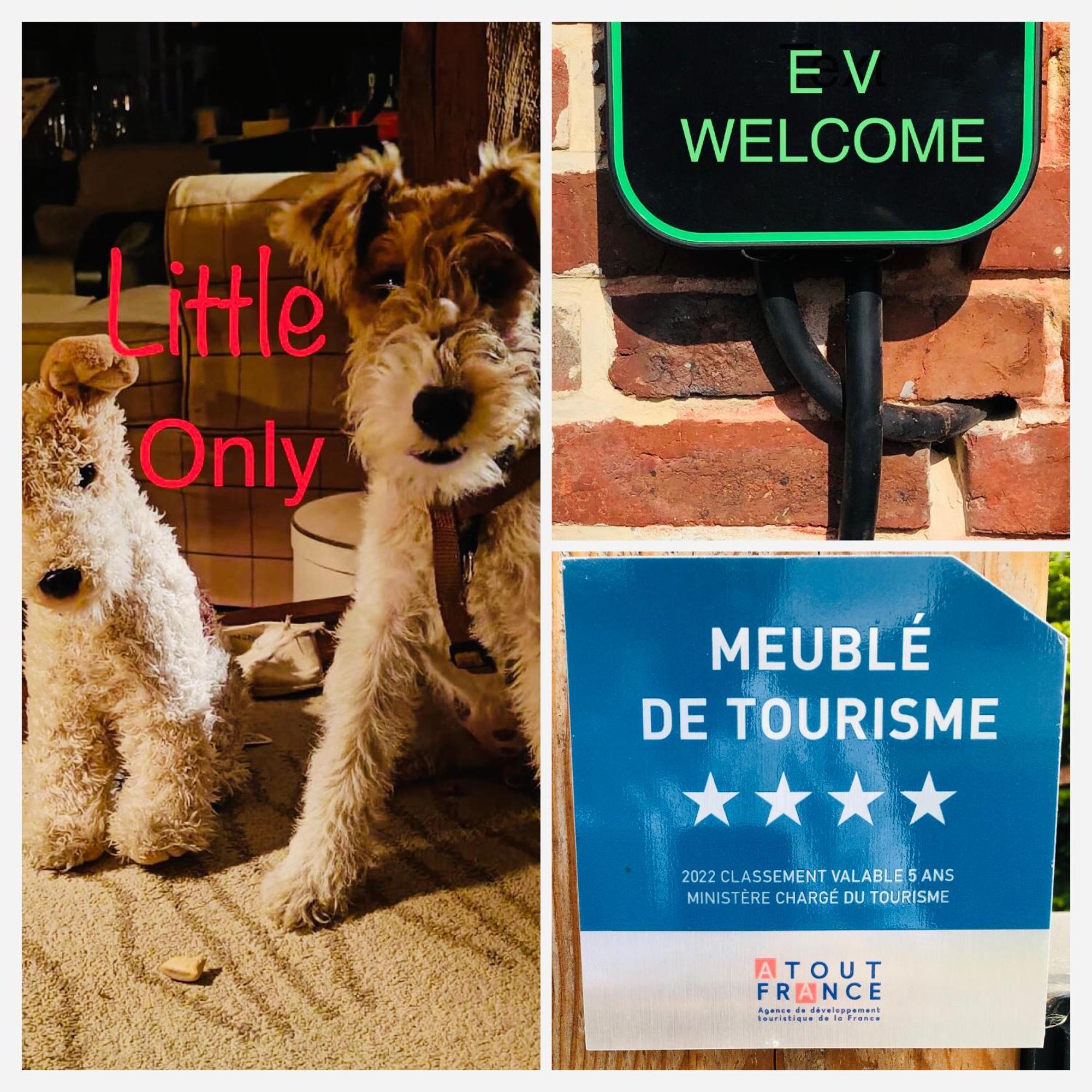 Gueutteville-les-Gres Rouge Cottage Gite 4 Etoiles Billard מראה חיצוני תמונה